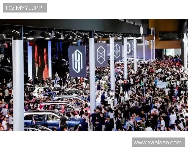 谢里夫与库克斯对决全方位分析及比赛前瞻展望