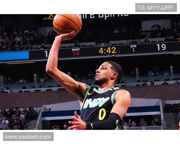 篮球明星哈利的传奇之路与他背后的奋斗故事